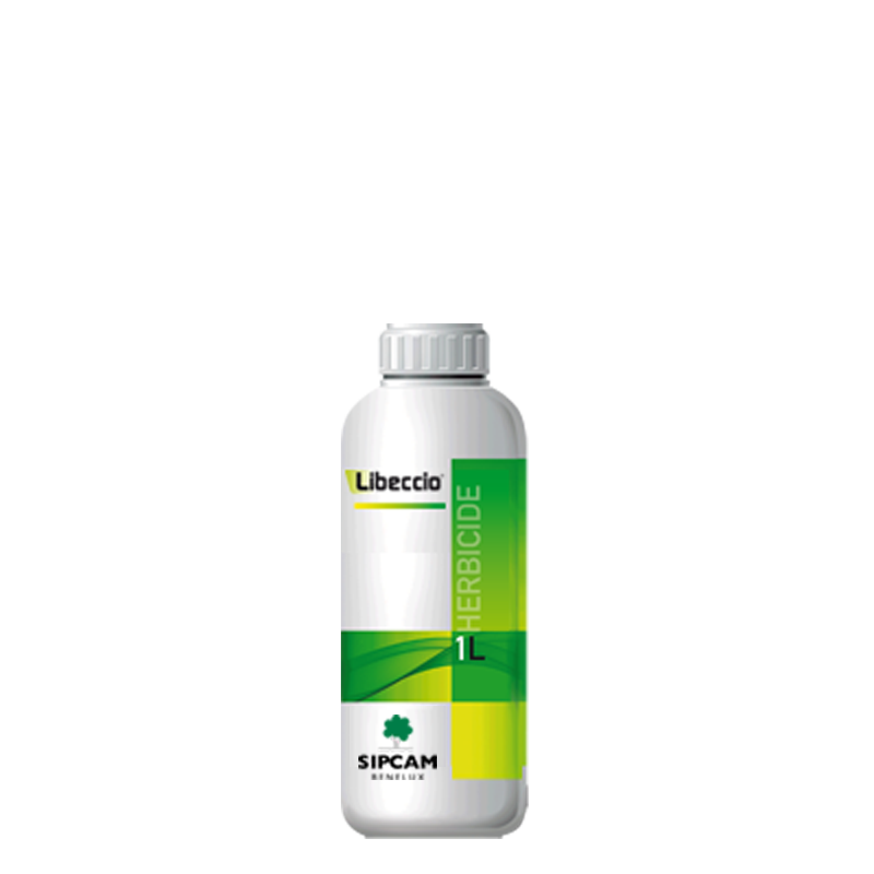 Sipcam Italia - LIBECCIO
